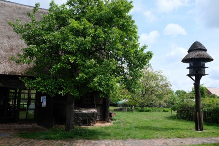 Lato z tradycją: Drewniana stodoła o ciekawej architekturze, zamieniona w muzeum kultury serbołużyckiej i regionalnej