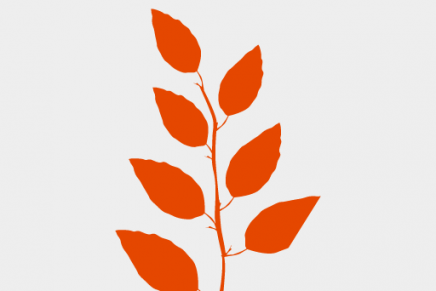 Karnawałowa zaprawa taneczna