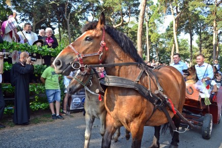 Uroczystości odpustowe ku&nbsp;czci Św. Rocha z&nbsp;obrzędem błogosławieństwa zwierząt w&nbsp;Mikstacie