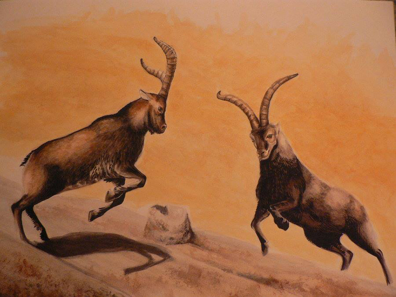 No to BĘC w&nbsp;Poznaniu – warsztaty polskich tańców tradycyjnych