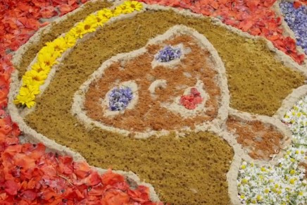 Tradycja dywanów kwiatowych i&nbsp;sokolnictwo – kolejna polska propozycja na&nbsp;Listę UNESCO