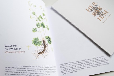 Herbarium. Łemkowski zielnik
