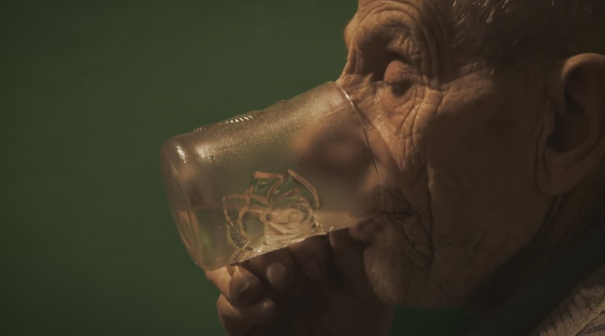 Uniwersytet Jana Gacy