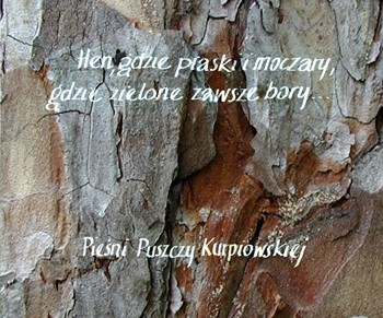 „Hen, gdzie piaski i&nbsp;moczary (…) Pieśni Puszczy Kurpiowskiej”