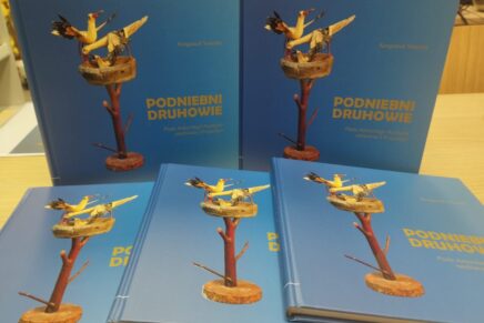 Drewniane ptaki Antoniego Kurzyna w&nbsp;albumie Muzeum Okręgowego w&nbsp;Suwałkach