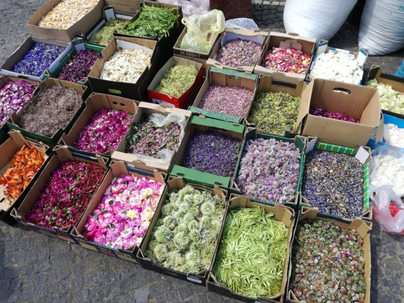 Kwietne dywany na&nbsp;Boże Ciało w&nbsp;przekazach mieszkańców parafii Spycimierz