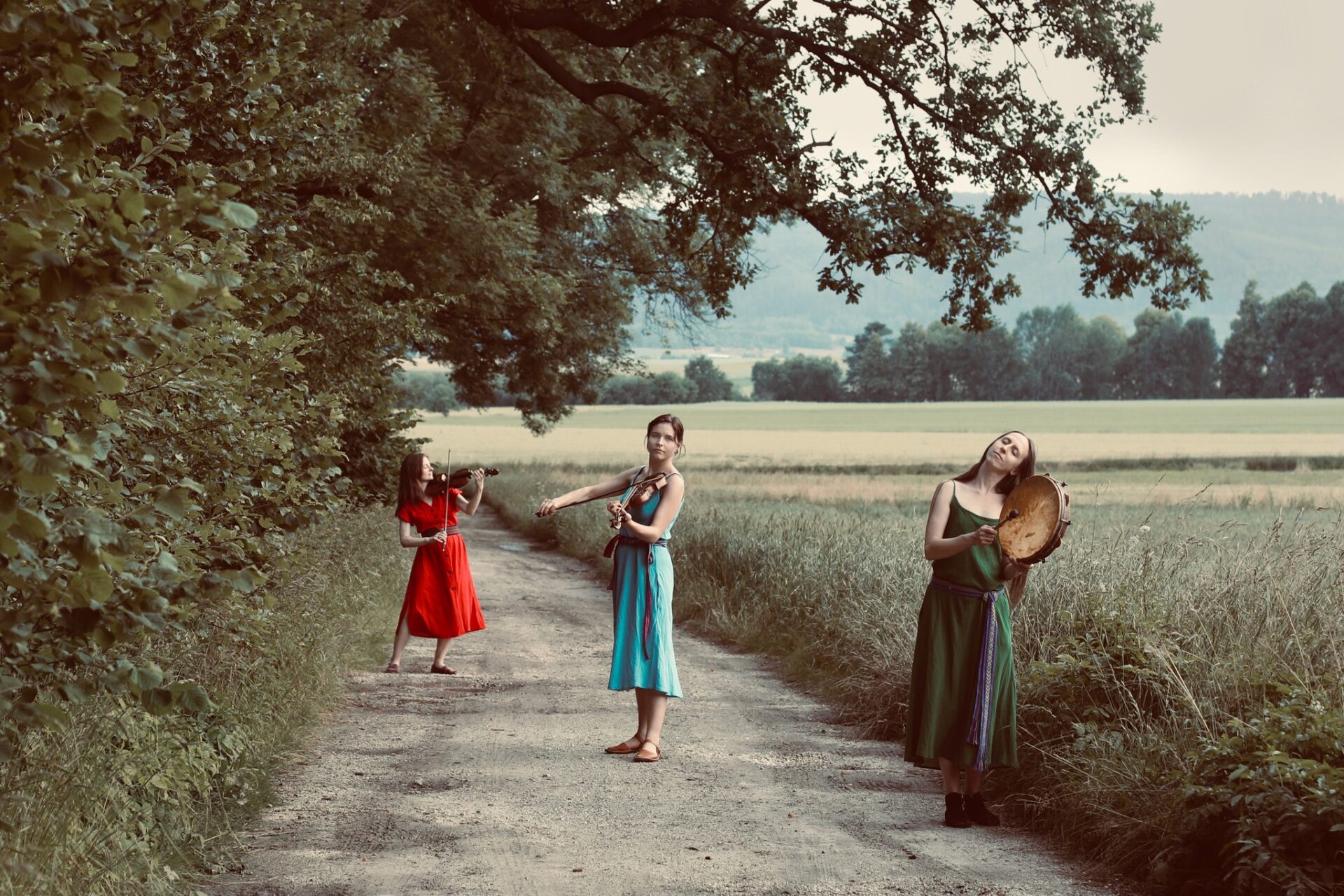 Koncert zespołu Sutari